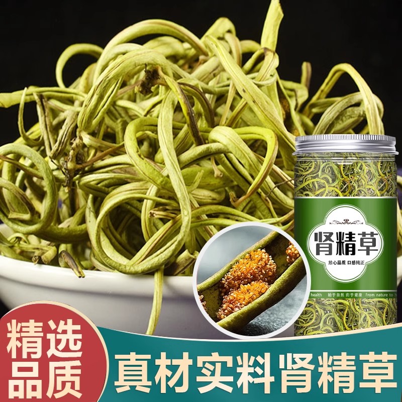 肾精茶黄金草嗷嗷叫长白山黄金草嗷嗷叫草官方旗舰店非野生化石草