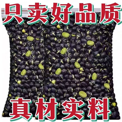 干炒黑豆即食熟黑豆子原味500g孕妇儿童高蛋白香酥脆休闲零食小吃
