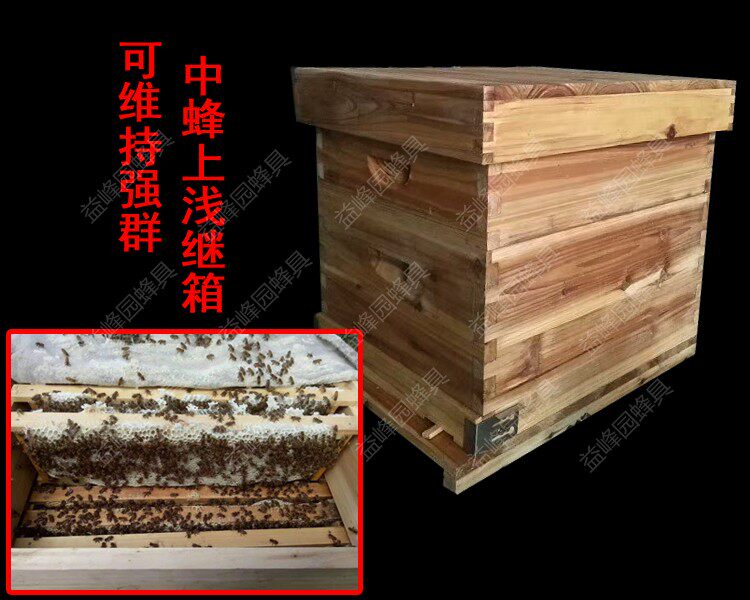 中蜂浅继箱十框.标准浅继箱杉木浅巢框意蜂继箱隔板蜜蜂箱