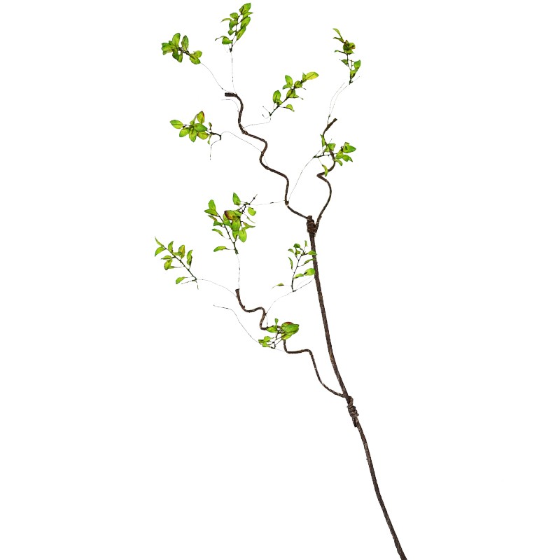 仿真树藤枯藤藤条装饰藤蔓树枝树干假树叶婚庆吊顶植物绿植树枝