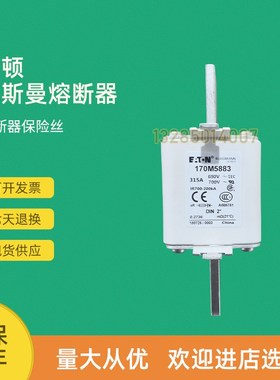 全新快速熔断器保险170M5805 170M5806 170M5807 170M5808
