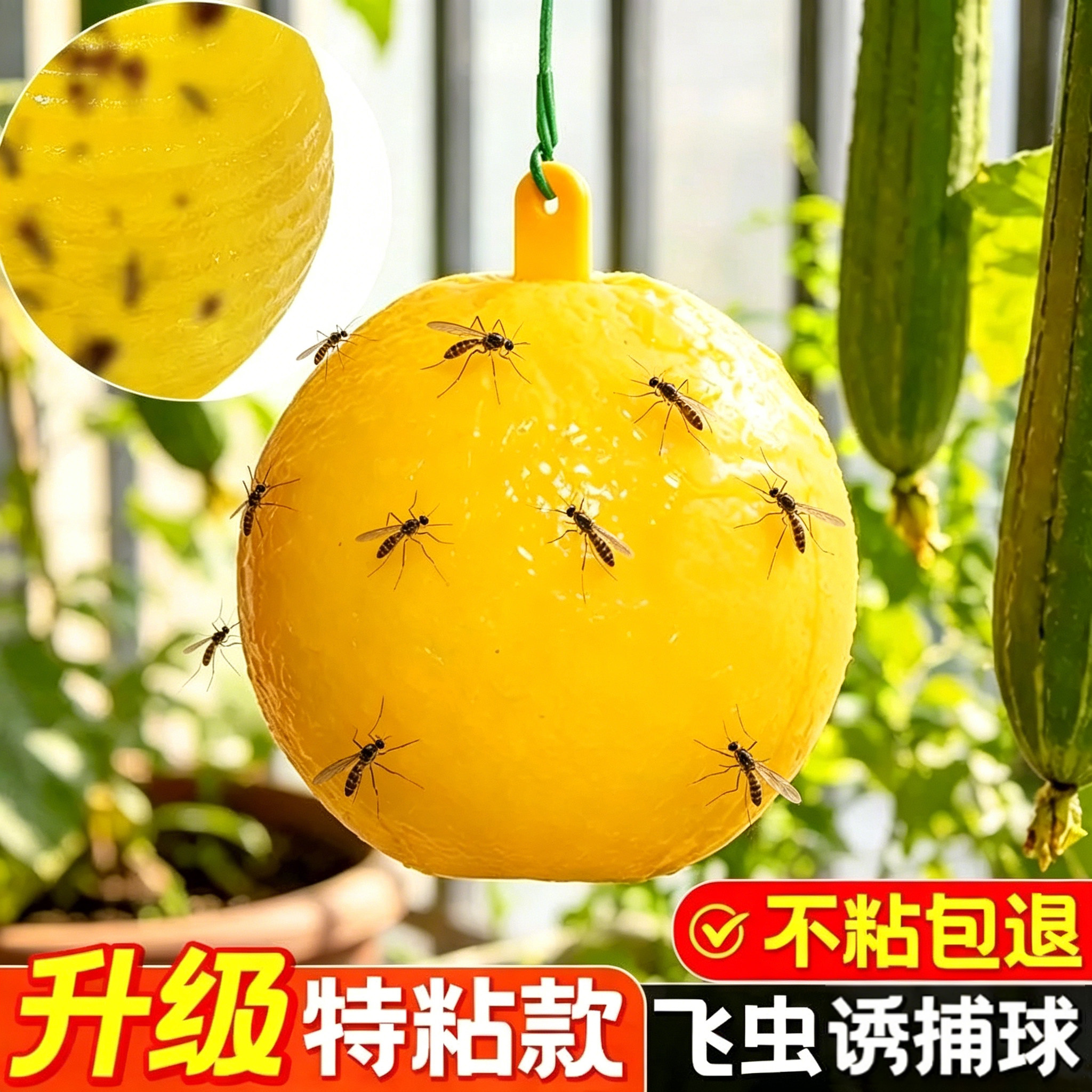 诱蝇球瓜果实蝇防虫驱蚊球