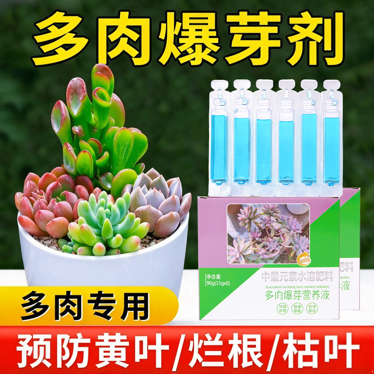 多肉专用营养液家用盆栽