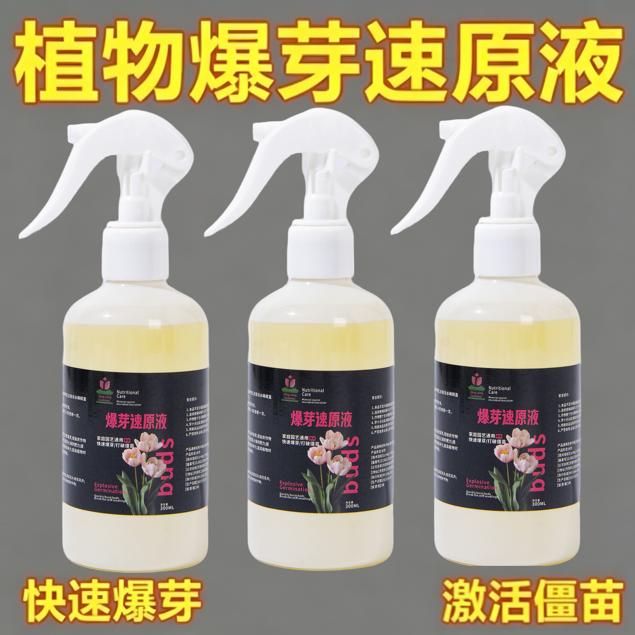 爆芽素原液多肉芽生根