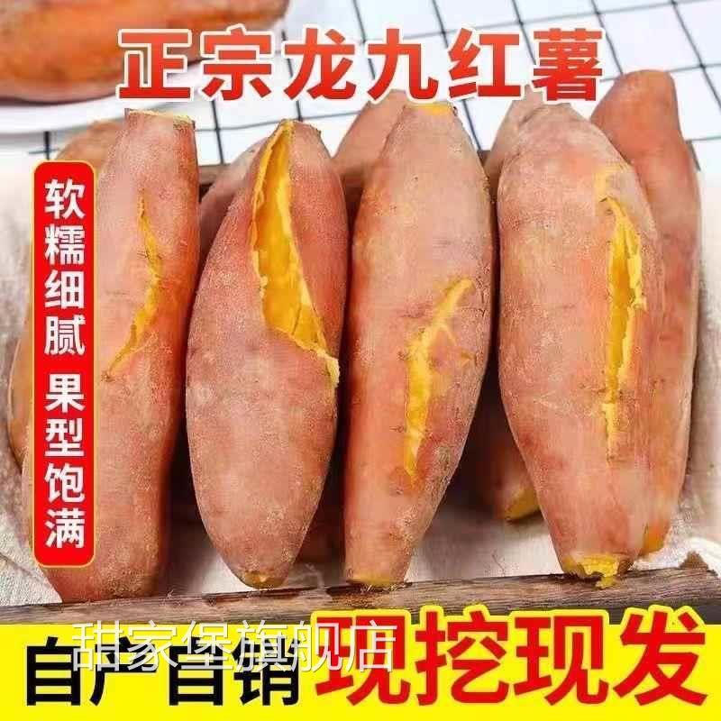 沙地蜜薯红薯农家新鲜黄蜜薯板栗薯地瓜龙九番薯黄心单品入口软糯