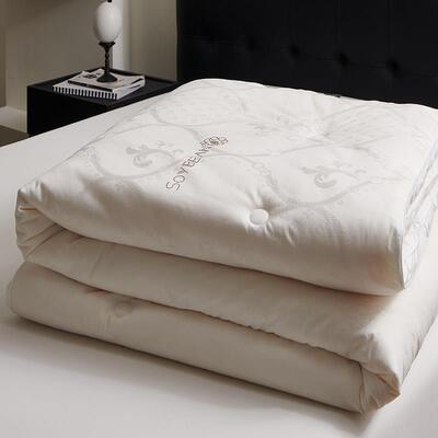 全棉A类55%大豆纤维被加厚冬被春秋被纯棉被芯二合一拉链款子母被