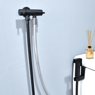 时尚黑色马桶喷枪水龙头伴侣厕所高压冲水枪卫生间清洗喷头妇洗器