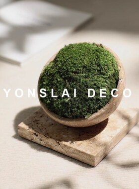 现代仿真绿植苔藓盆栽桌面摆件样板间售楼处家居办公室茶几软装