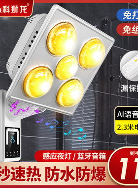 科狮龙壁挂浴霸灯取暖挂壁式暖灯挂墙灯暖浴室取暖器免打孔