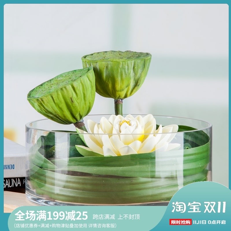 盆新鱼缸水仙盆睡莲浮萍碗莲盆浮水蜡烛扁圆瓶