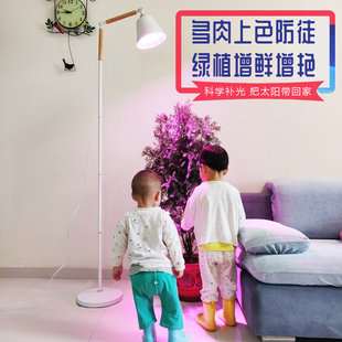 多肉补光灯仿太阳家用上色生长灯全光谱太阳灯多肉光照灯