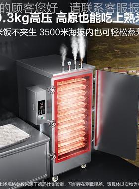 高原蒸饭蒸饭车商用蒸箱用高柜原专KZ-100G热蒸饭机高压电蒸柜