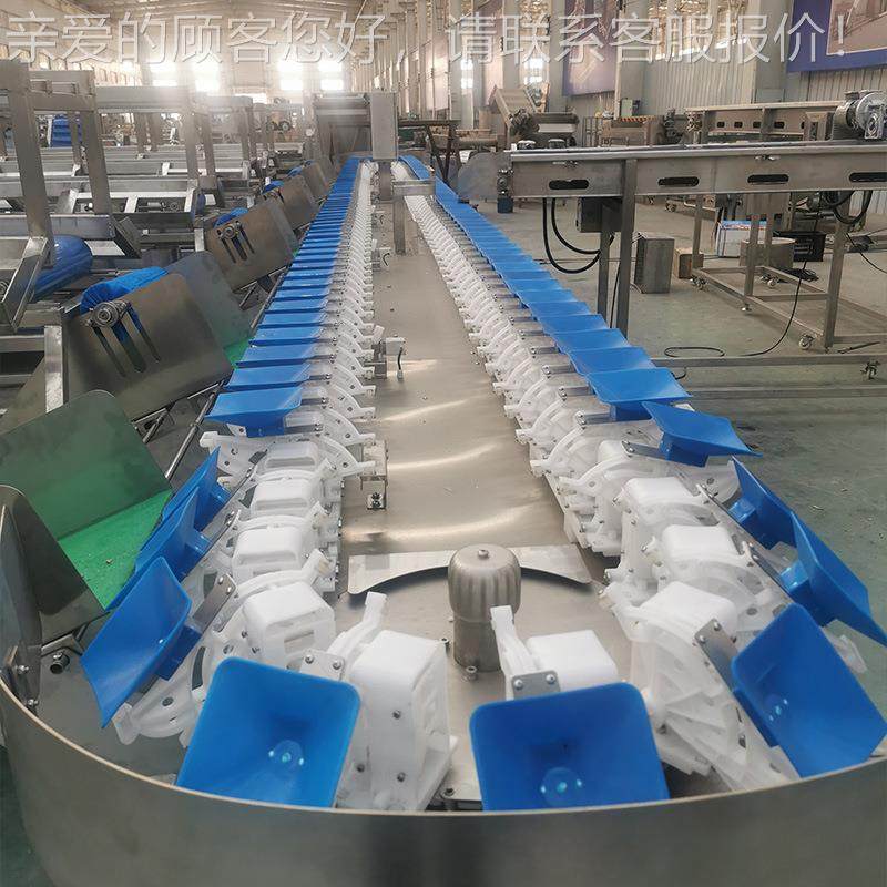 自动肉类WTS重重称全量分选机 鸡肉鸡翅分选机,清洗/食品/商业设备,肉制品加工设备,淘宝优惠券,粉丝福利购,淘宝优惠卷