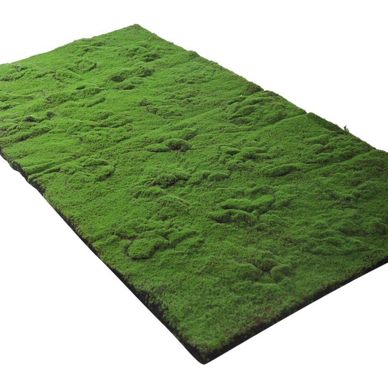 仿真苔藓绿植盆景造景植物墙草皮DIY假青苔橱窗装饰铺面人造草坪