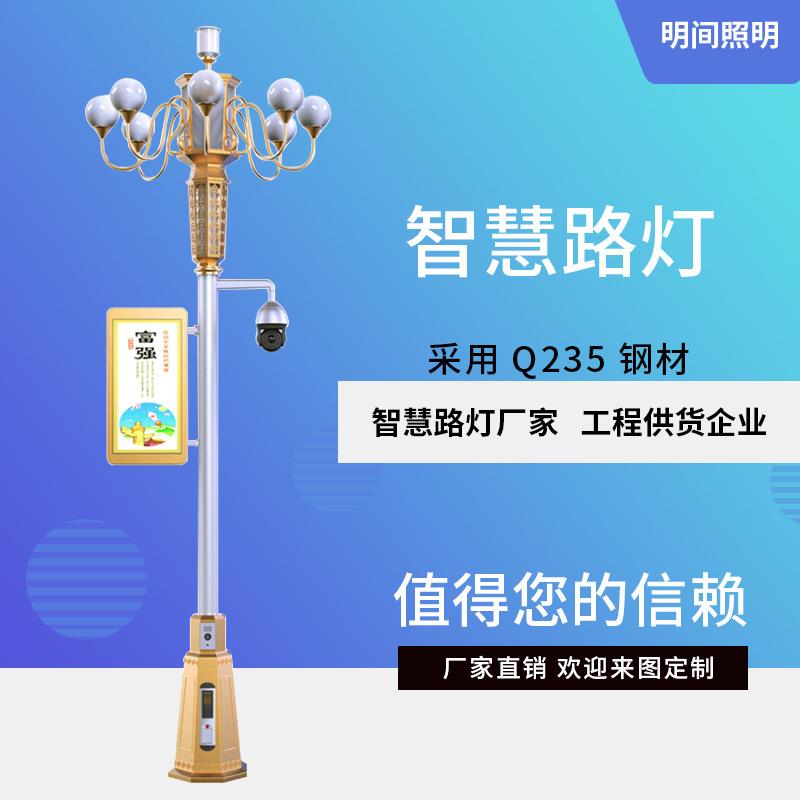 定制各款式智慧路灯供应高新园区集充电桩监控功能智能中华路灯