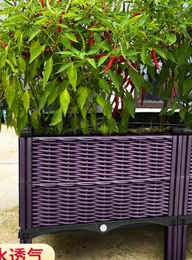 阳台辣椒专用蔬菜种植箱特大加厚长方形户外花箱庭院塑料种菜花盆