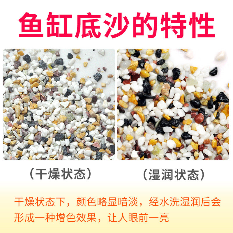 雨林鼠沙鱼缸底砂造景沙子底沙乌龟缸白沙海沙寄居蟹专用沙装饰,宠物/宠物食品及用品,造景/装饰,淘宝优惠券,粉丝福利购,淘宝优惠卷