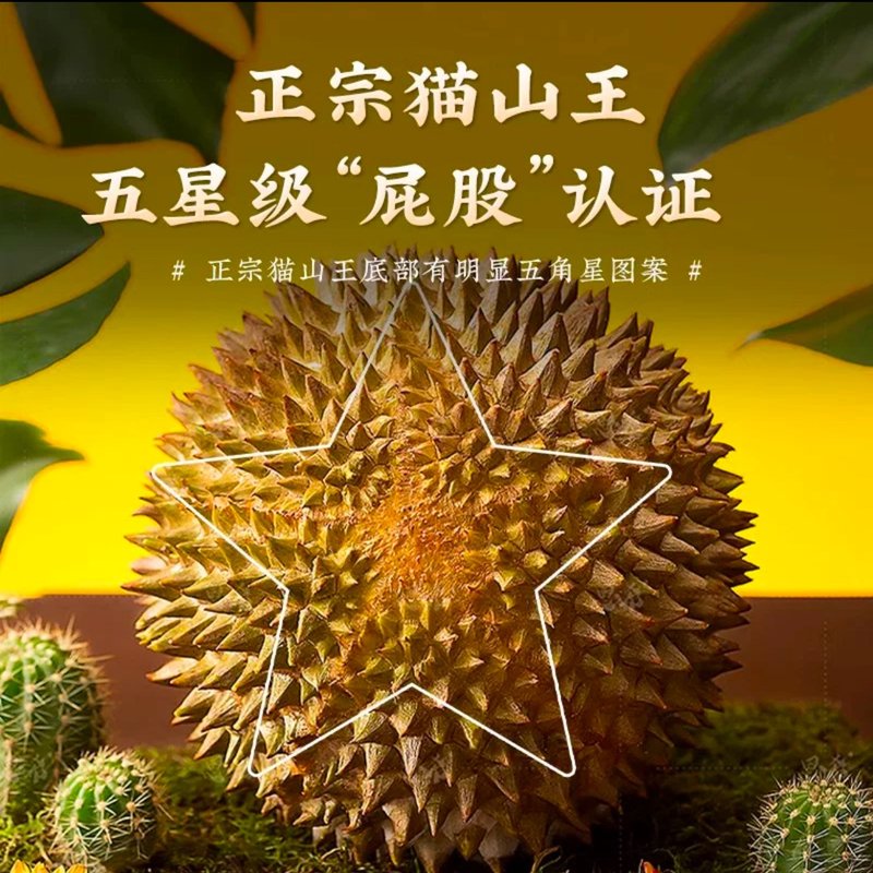 黑刺榴莲D200A级液氮锁鲜马来西亚自然树熟黑刺榴莲