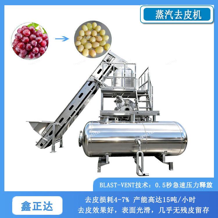 大型葡萄蒸汽脱皮机全自动黄桃去皮设备