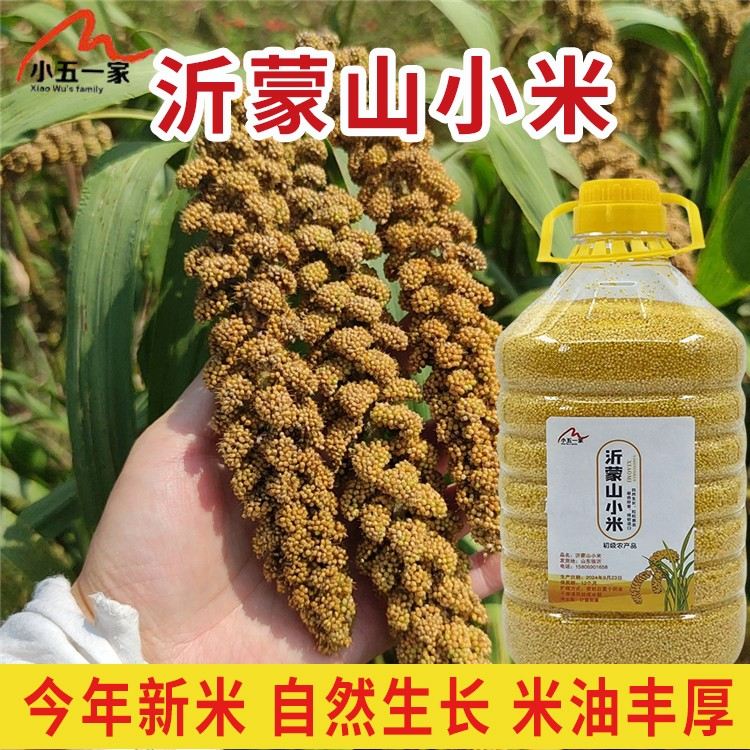 2026年沂蒙山新小米沂蒙新米黄小米煮粥香粘月子米黄金小米