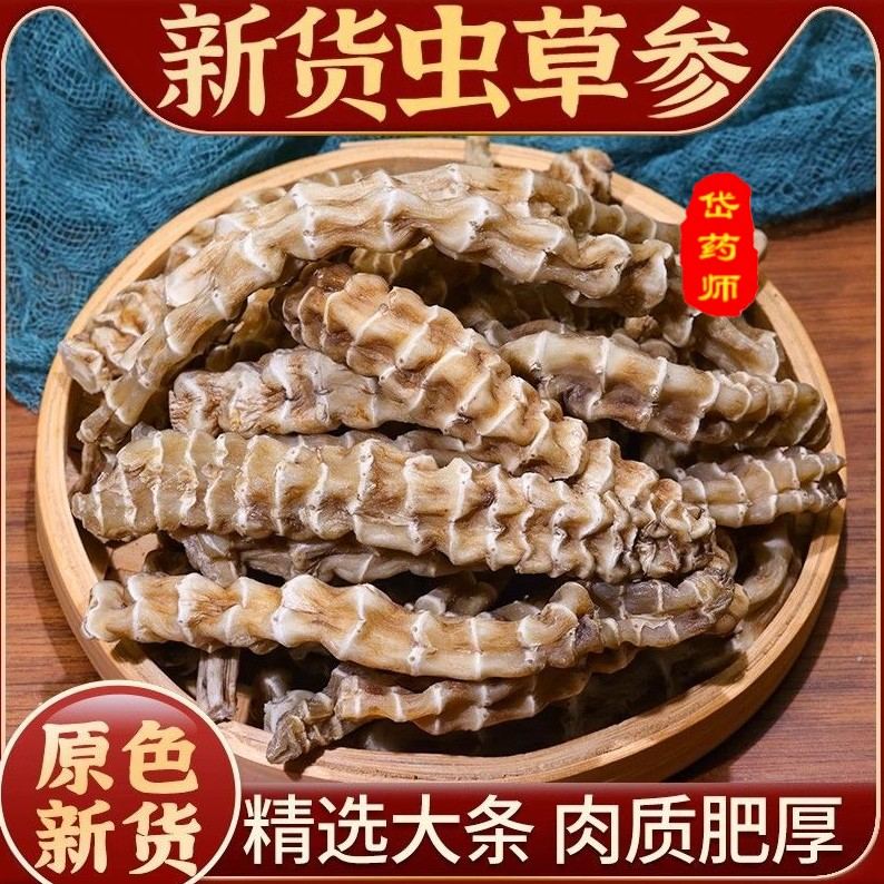 集团专属补贴LL甄选高海拔虫草参干货可煲汤食用干货试吃10克