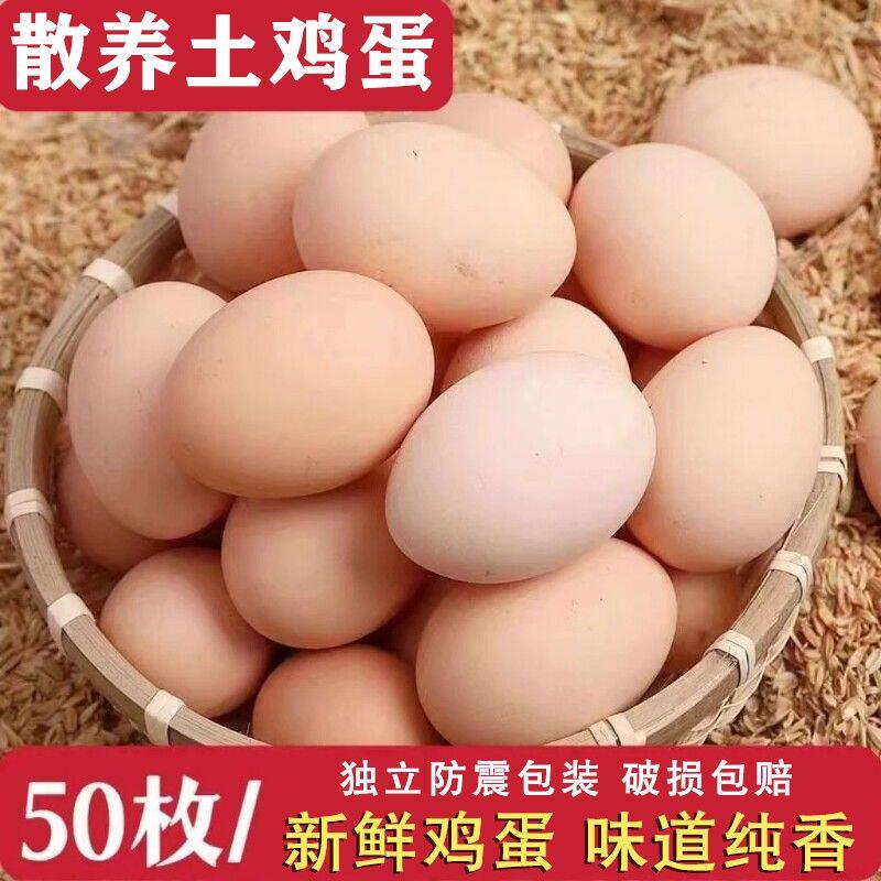 50枚山林散养土鸡蛋健康营养新鲜鸡蛋40-50克鲜蛋