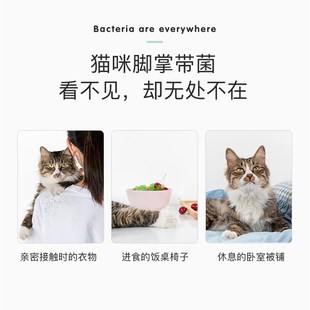 矿石猫砂活性炭除臭低尘膨润土钠基矿石沙豆腐猫砂混合银离子8斤