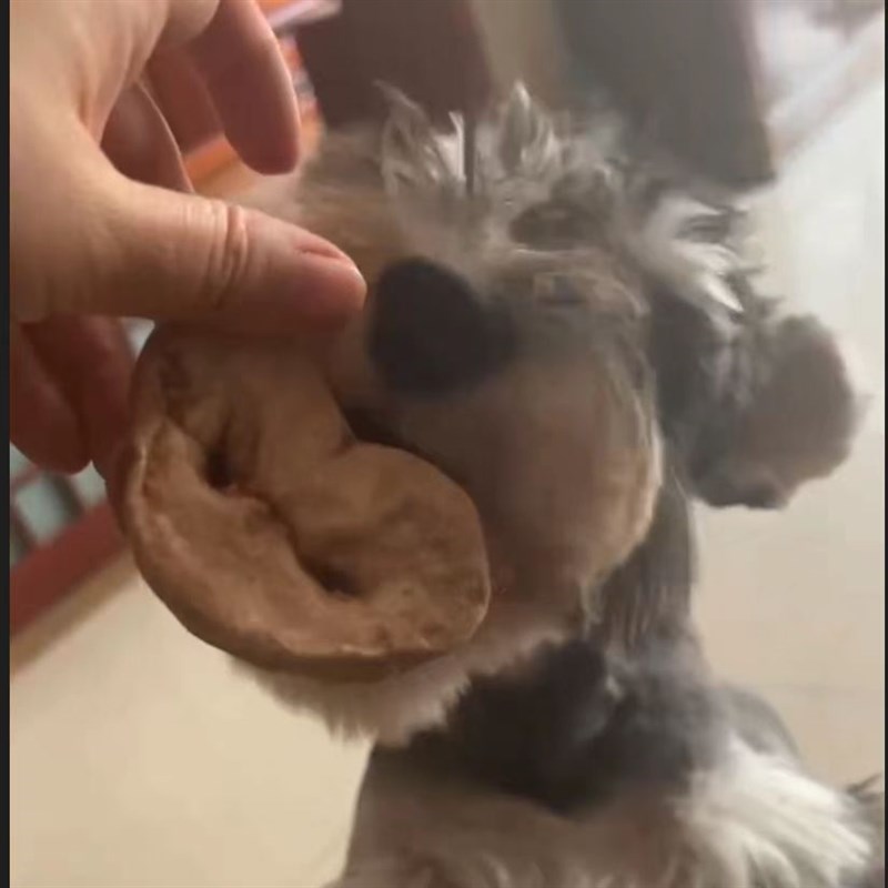 冻干猪鼻子狗狗零食宠物零食冻干狗狗冻干零食狗冻干食品磨牙营养