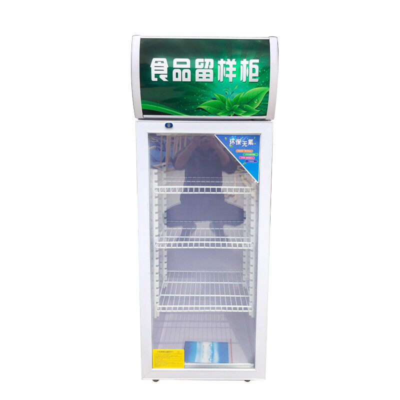 食品留样柜小型i冰箱幼儿园带锁食堂学校厨房保鲜展示冷藏家用迷