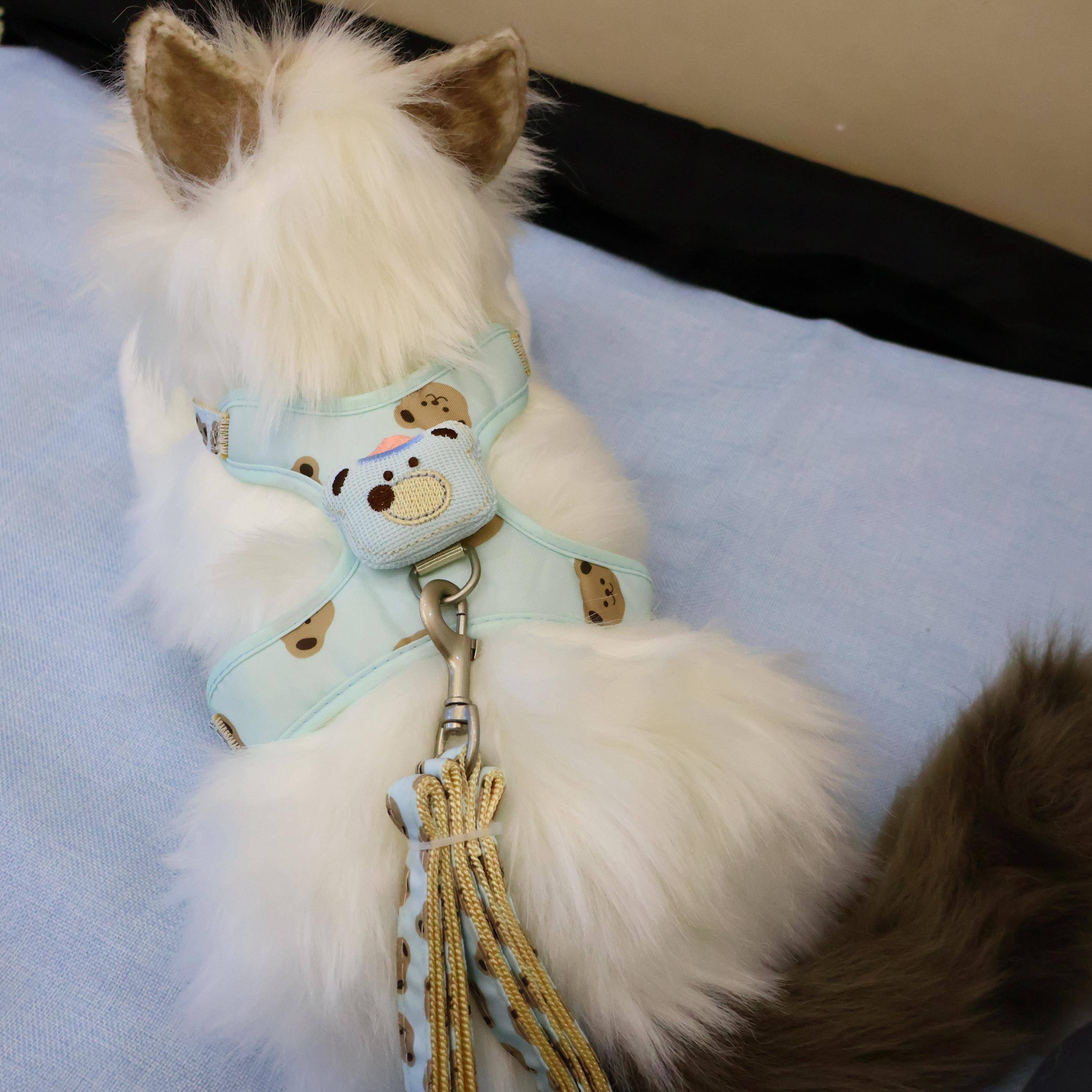 猫咪宠物用品新款防挣脱可调节溜猫绳工字形胸背心带猫咪牵引绳