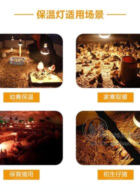 发热灯泡猪用保温灯小鸡育雏兽用加热灯泡养殖鸡用节能取暖灯泡