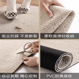 地垫入户门垫丝圈进门口防滑耐脏家用脚垫门厅玄关可裁剪免洗地毯