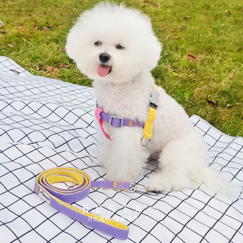 BESTA-网红撞色!宠物狗狗牵引绳小型犬比熊泰迪胸背带外出防挣脱