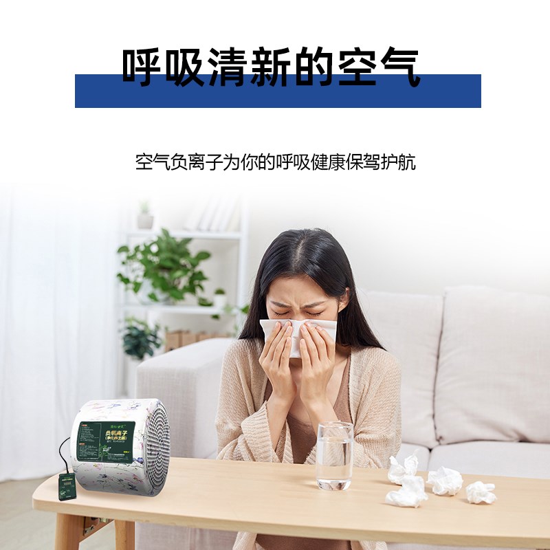 小粒径负离子空气净化器无臭氧生态家用纯负离子发生器除甲醛清新