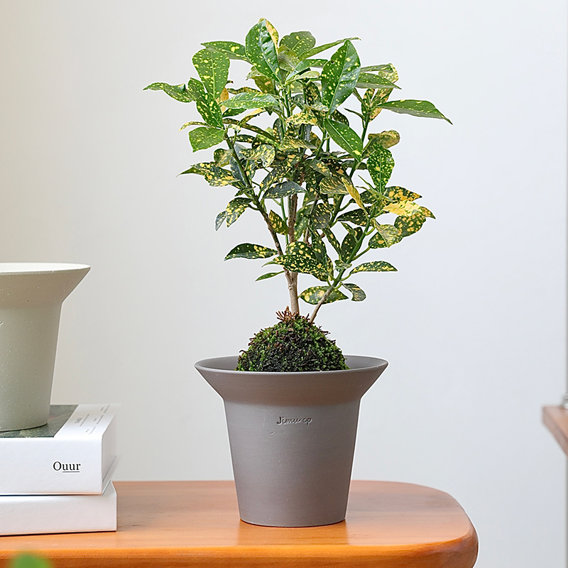 北欧创意个性桌面陶瓷花盆日式简约磨砂陶盆块根植物陶土绿植套盆