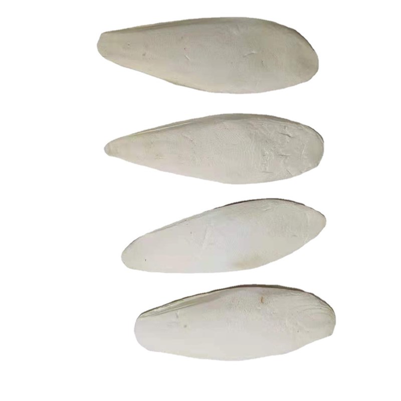 鸟食用修边打磨穿珠墨鱼骨串珠风铃鹦鹉磨牙补钙营养鸟类玩具养鸟