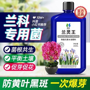 兰花专用营养液肥料植料生根杀菌药枯叶微生物菌剂促花肥料兰灵王