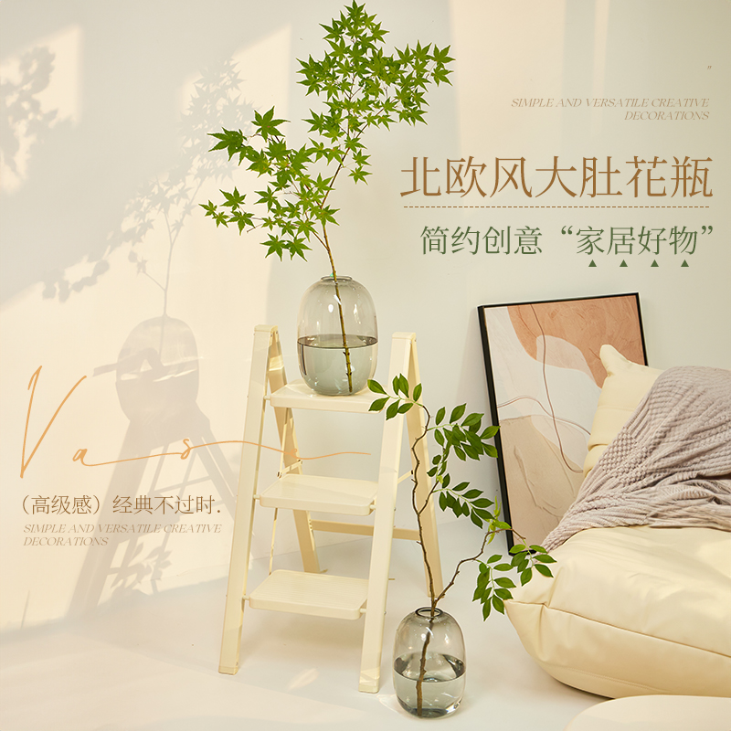 大肚花瓶玻璃水培器皿摆件插干燥花瓶透明简约高级感吊钟新中式客