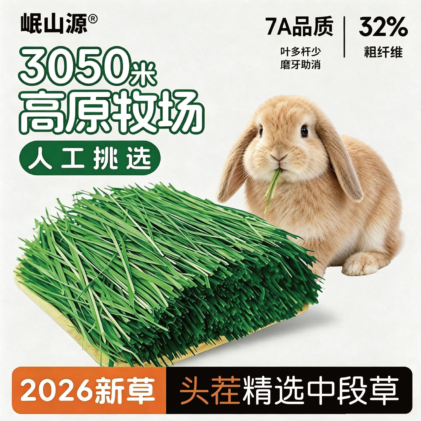 烘干提摩西草头茬岷县草场直发图片