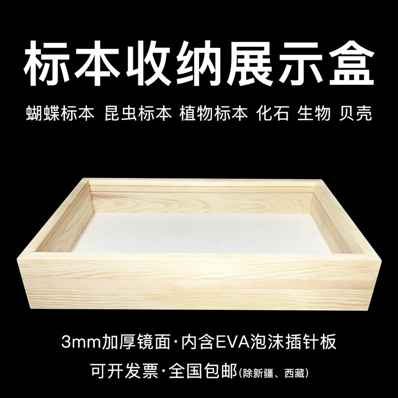 昆虫蝴蝶标插针盒松木实木标框手工存放盒展示盒