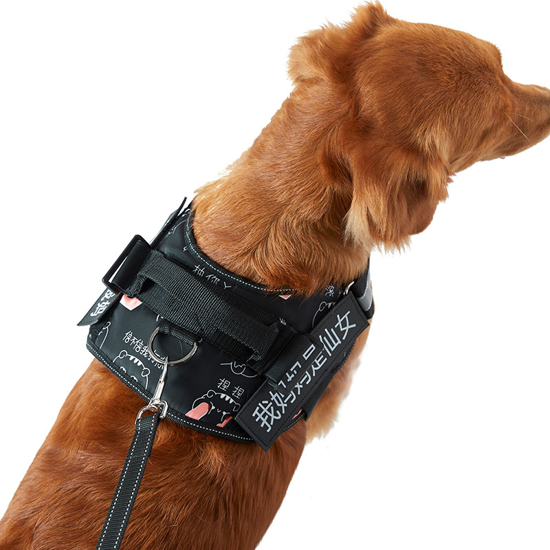 狗狗牵引绳背心式狗链子泰迪金毛拉布拉多大小型犬遛狗绳宠物背带