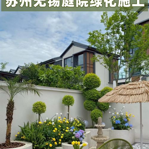 苏州庭院设计别墅花园绿化施工露台民宿网红O餐厅景观绿植搭配改