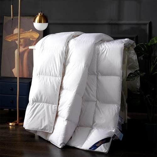 火炬羽绒2023羽绒被糯感面料简约素色四季被