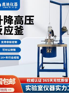 FCF型100ml/250ml/500ml/1L/2L/5L/10L/20L/50L带升降高压反应釜