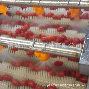 圣女果清洗机小西红柿清洗机气泡喷淋清洗毛刷去杂亿马机械