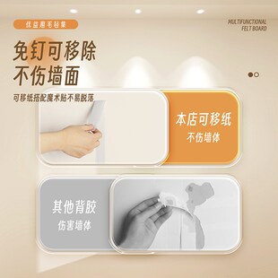 毛毡墙贴照片墙背景板幼儿园墙面文化墙挂墙梦想愿景板装饰创意氛