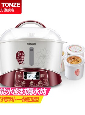 天际电炖炖锅多功能隔水炖盅人家用全自动煲汤锅隔水炖