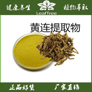 纯品黄连提取物 黄连素提取粉 王连粉萃取精华粉 送量勺