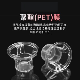 孔孔孔 膜细胞小室培养板 nwll