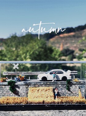 64比例 72比例车模场景 发光y场景 DIY 桌面摆件  草地场景 模型